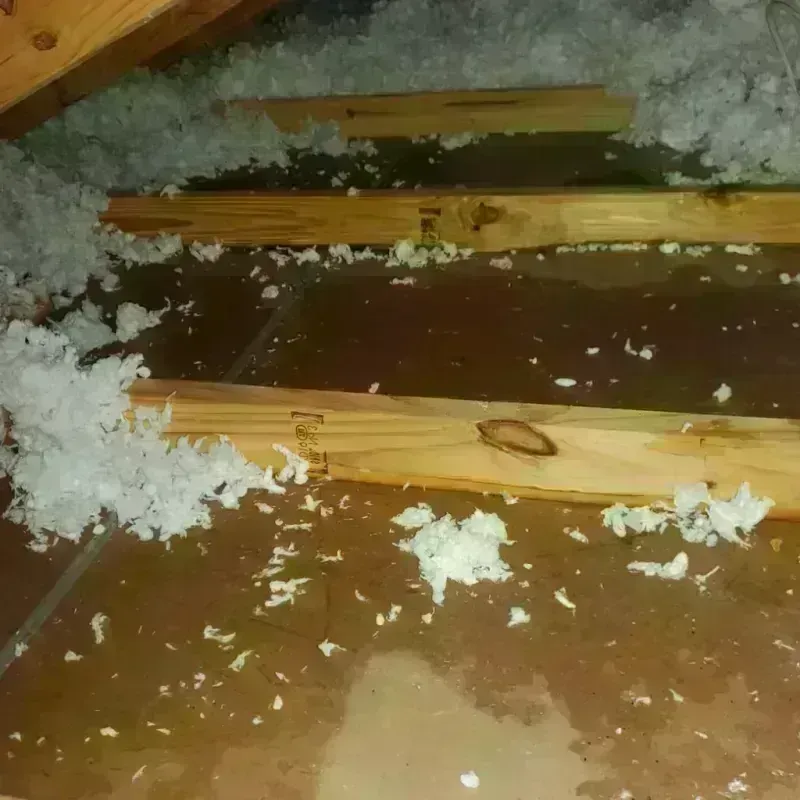 Attic Water Damage in Wyomissing, PA